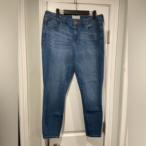 Molly & Isadora Size 16W Skinny Ankle Cotton Blend Stretch Zip Up Denim Jeans